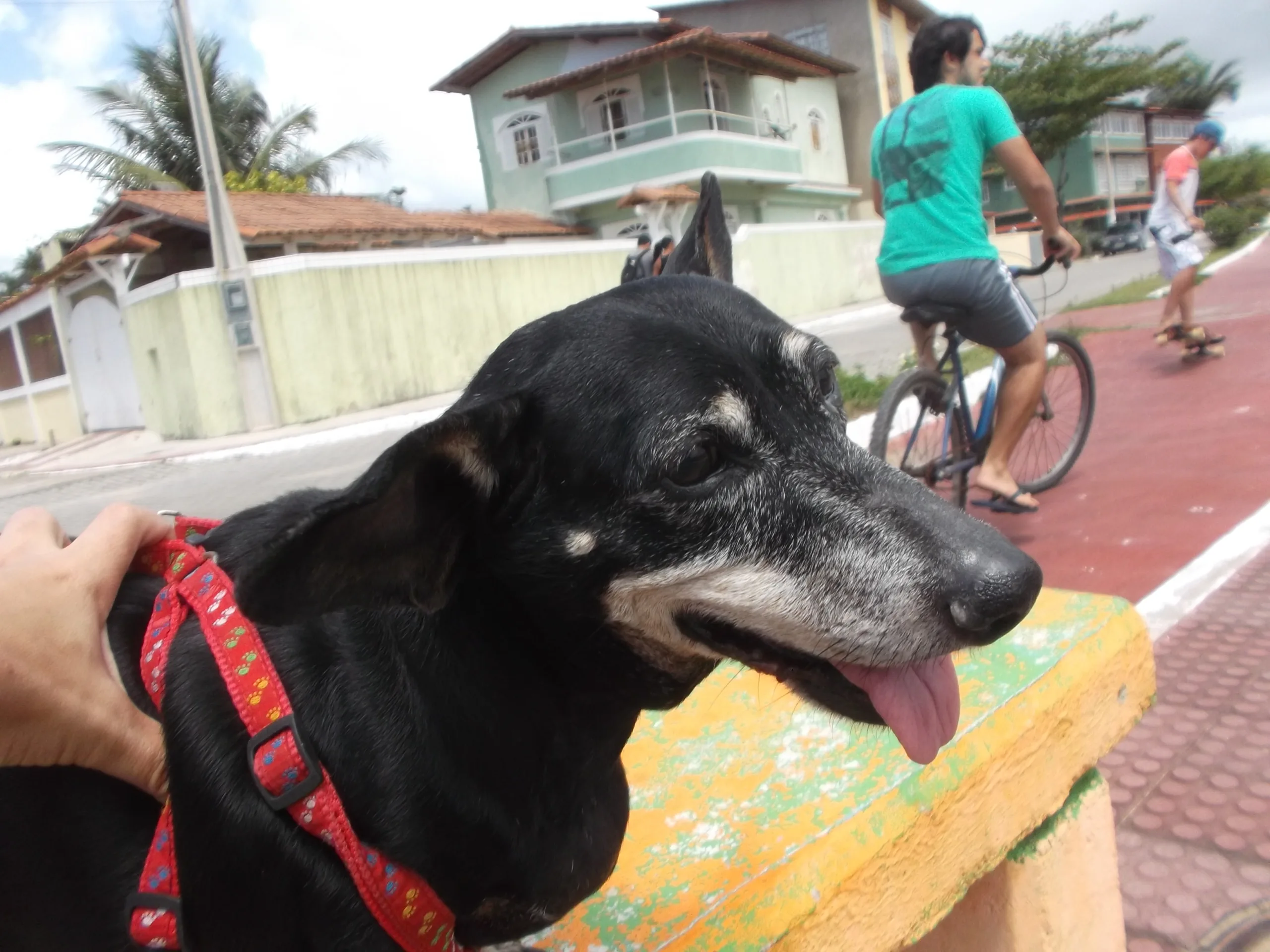 Stoy passeando no calçadão