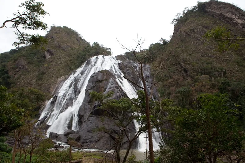 Parques estaduais abrem as portas e voltam a receber visitantes após morte de macacos