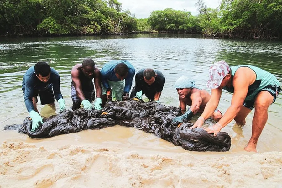 Voluntários relatam náusea, tontura e alergia após contato com óleo em praias