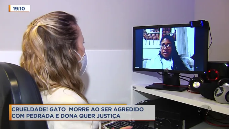 Covardia! Câmera flagra jovem matando gatinho a pedradas