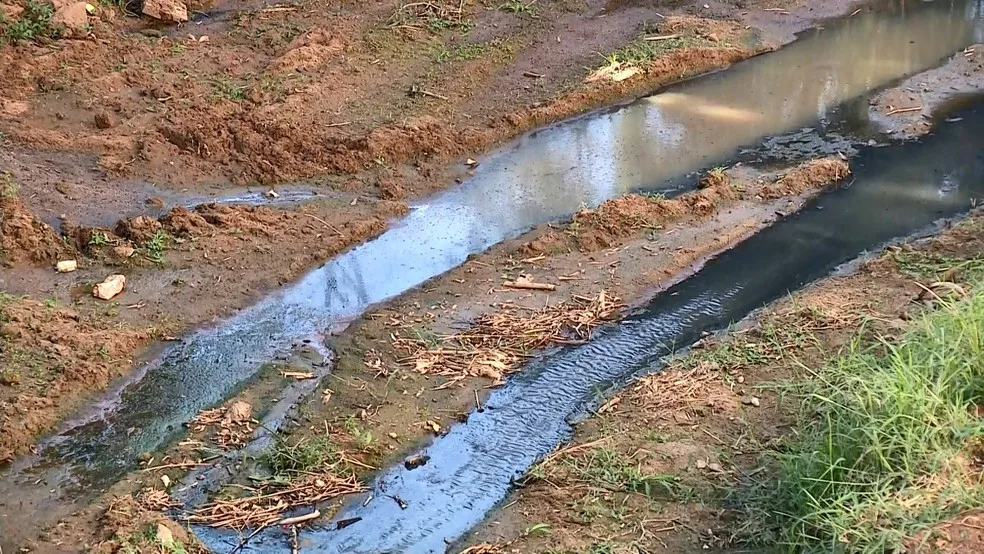 Acusado de crime ambiental produtor rural é detido em São Roque do Canaã