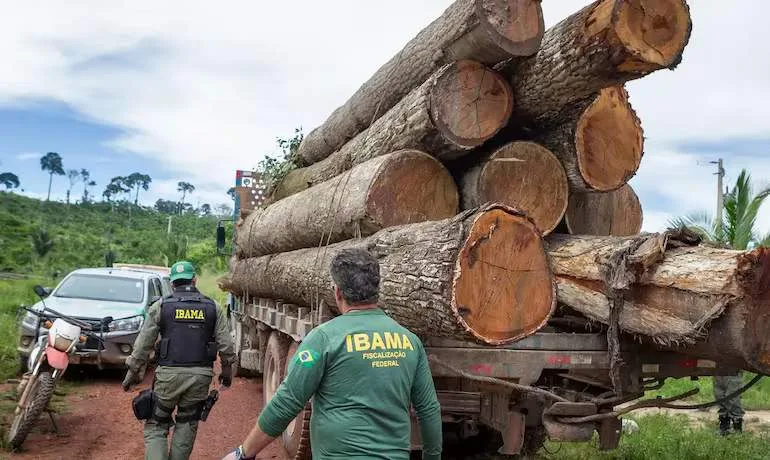 Foto: Vinícius Mendonça/Ibama/arquivo