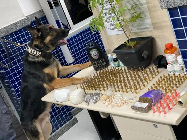 Cão da Força Tática ajuda policiais a fechar ponto de venda de drogas na Praia da Costa