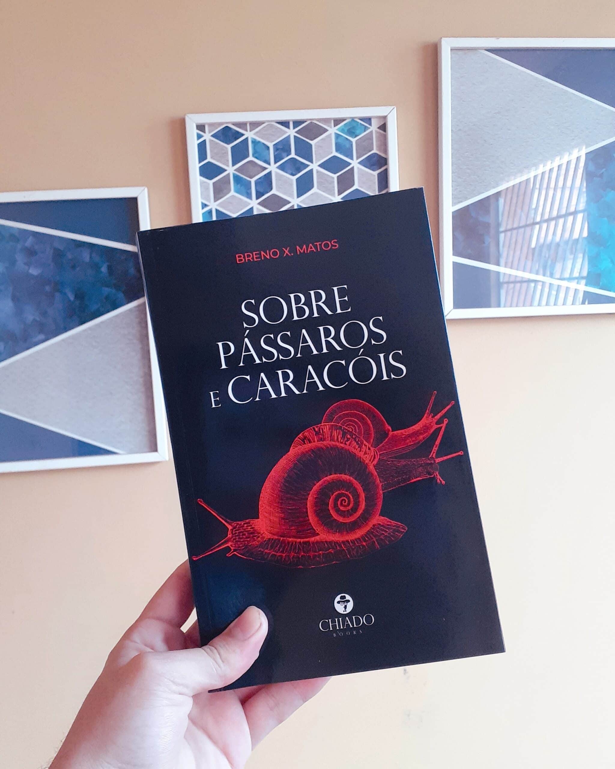 Dica de leitura: Sobre Pássaros e Caracóis