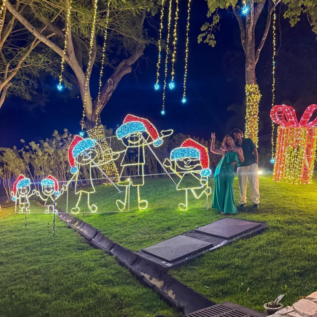 Decoração de Natal de Virgínia é comparada à de Vila Velha: "Vila natalina" (Foto: Reprodução/Instagram @virginia)