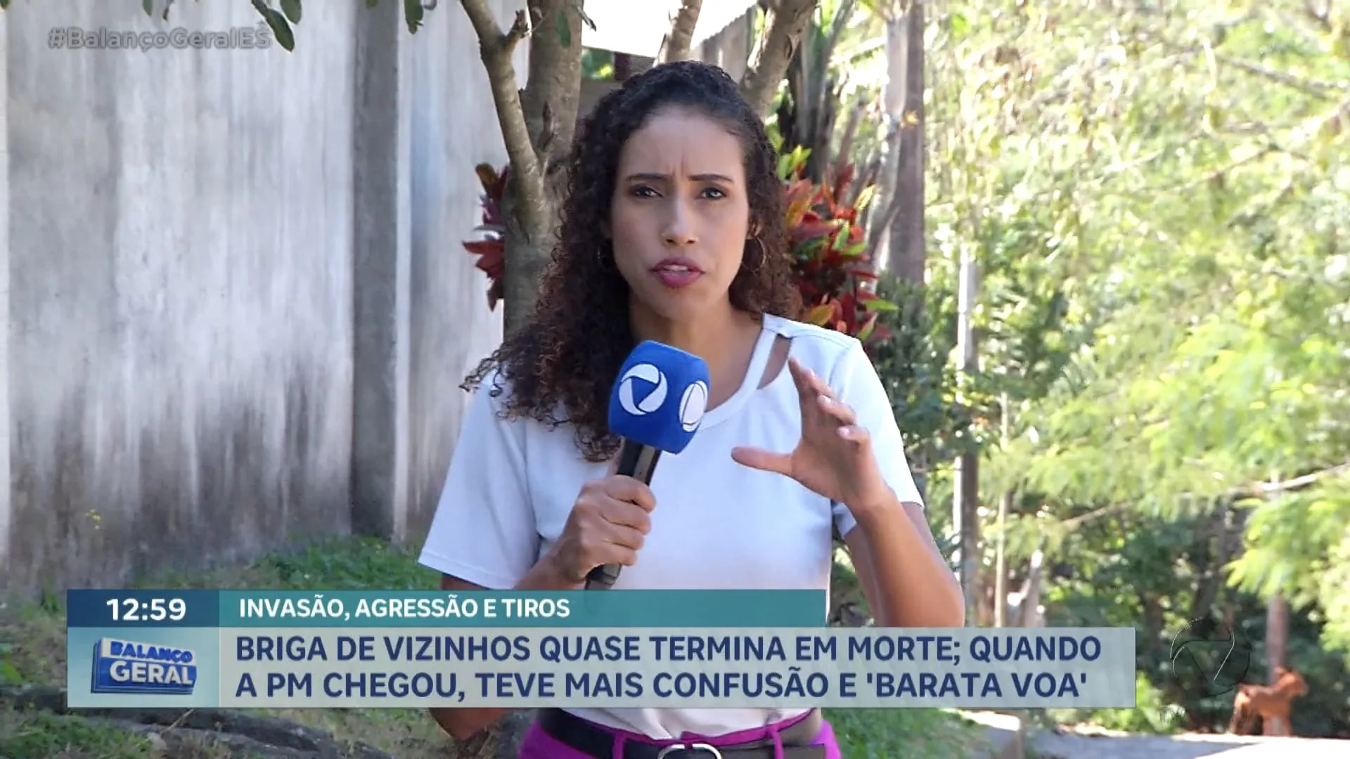 INVASÃO, AGRESSÃO E "BARATA VOA"