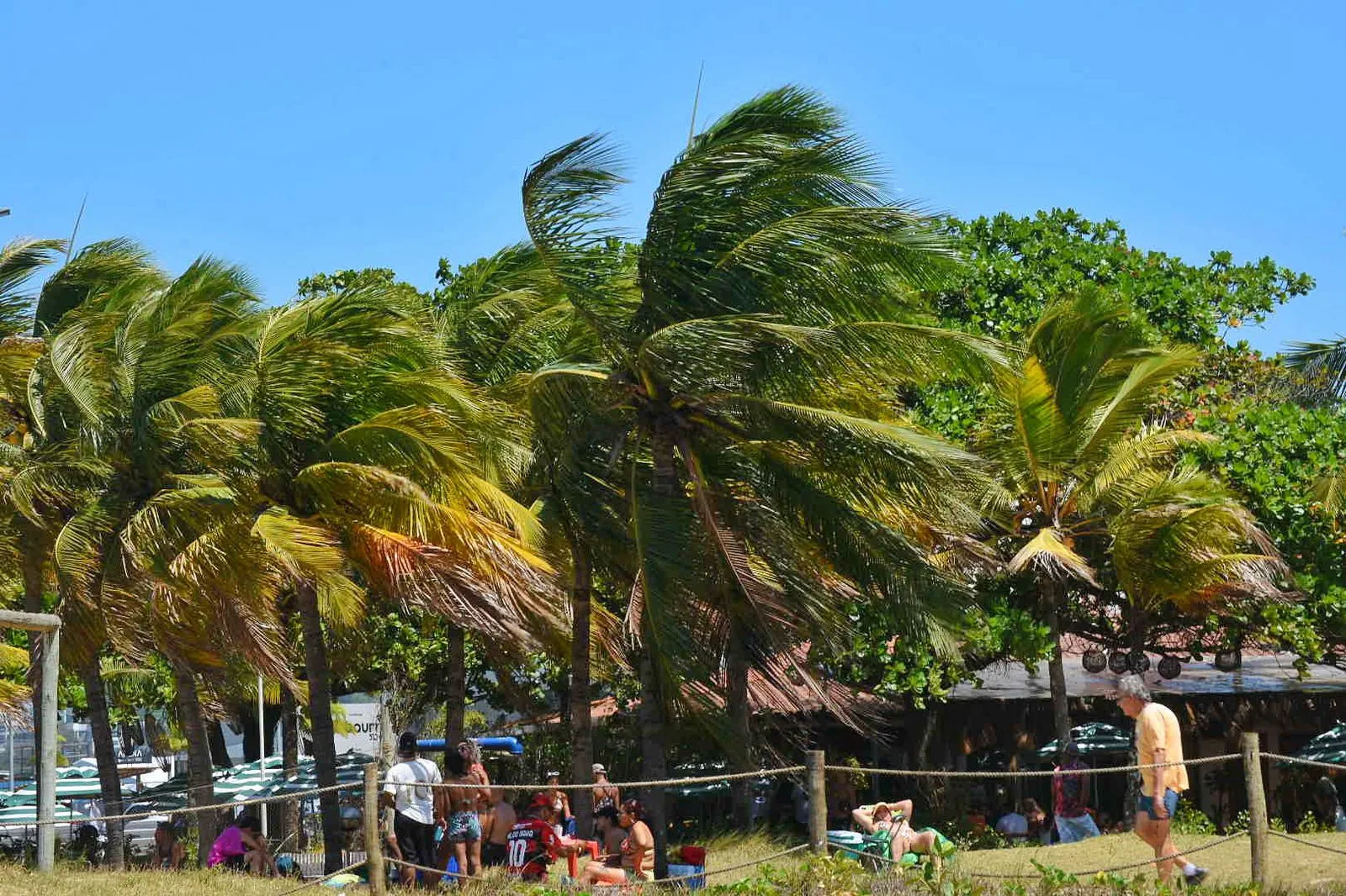 Sol ou chuva? Saiba como fica o tempo no Carnaval de Vitória