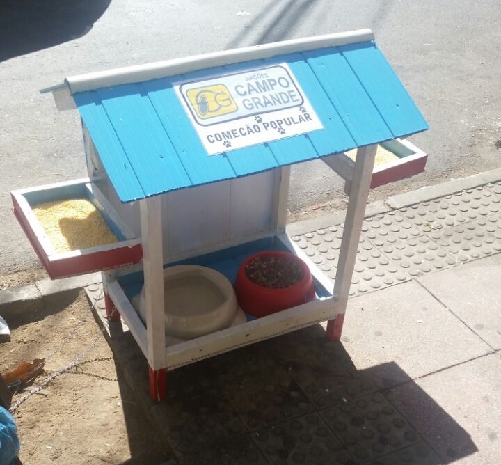 Capixaba desenvolve casinha para alimentação de animais abandonados