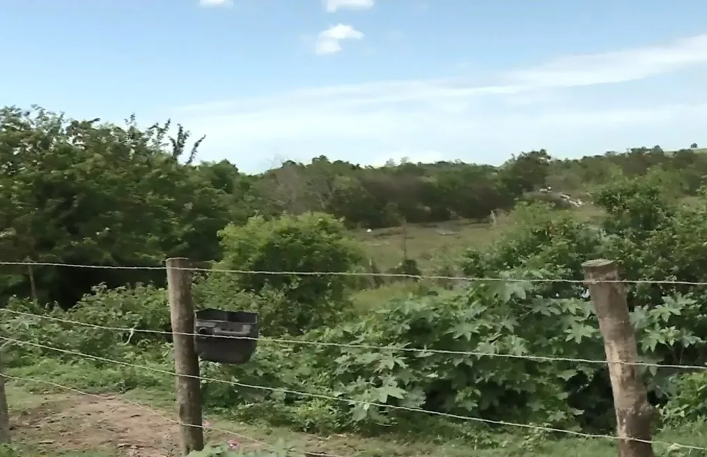 Dupla é encontrada morta com requintes de crueldade em terreno baldio de Vila Velha