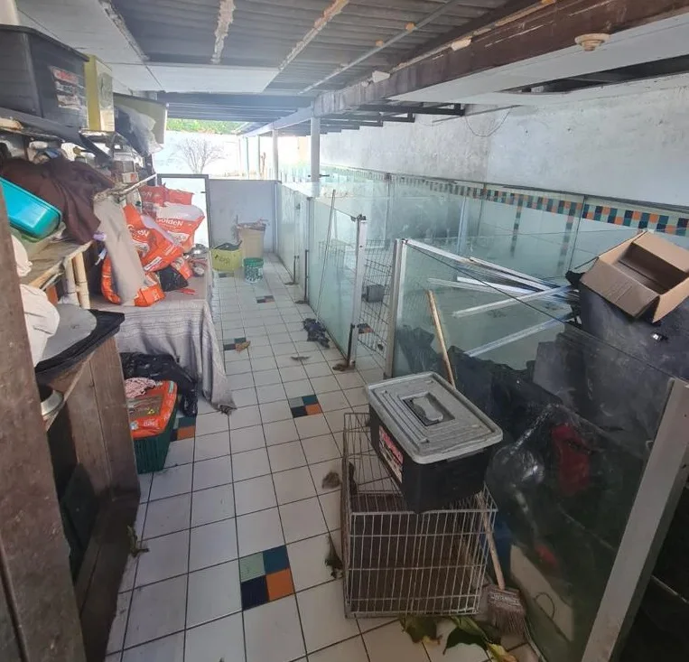 Veterinária responsável por hotel pet clandestino em Jardim Camburi paga fiança e é solta