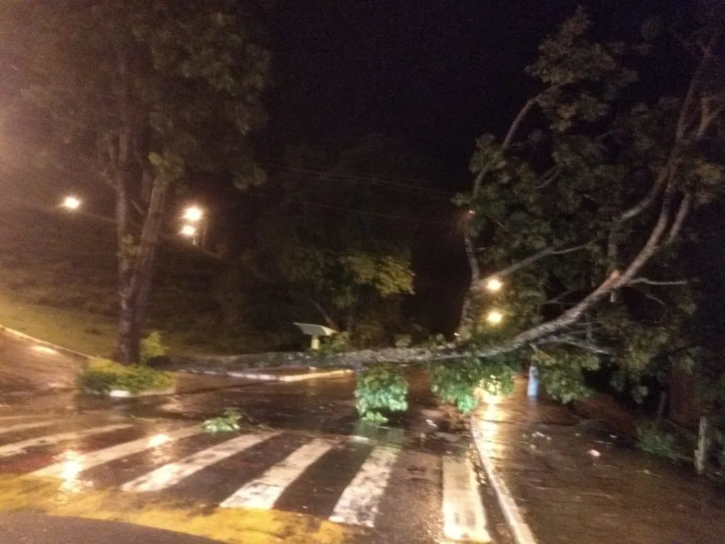 Chuva derruba árvores e deixa escola destelhada em Cachoeiro