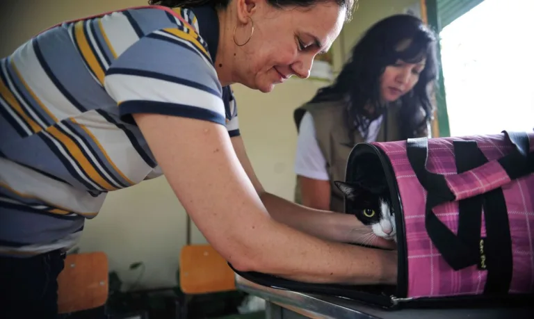 Brasília – A Secretaria de Saúde do Distrito Federal realiza, neste sábado (22), campanha de vacinação antirrábica para cães e gatos, na área urbana (Marcelo Camargo/Agência Brasil)