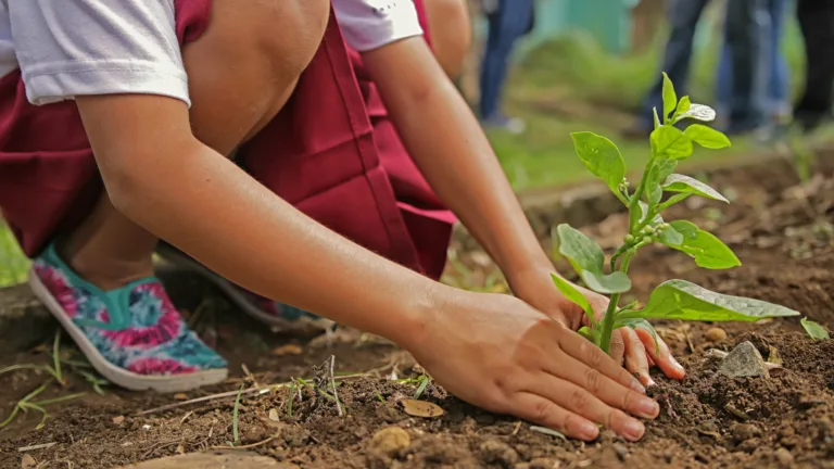 Projeto qualifica Legislativo com foco ambiental