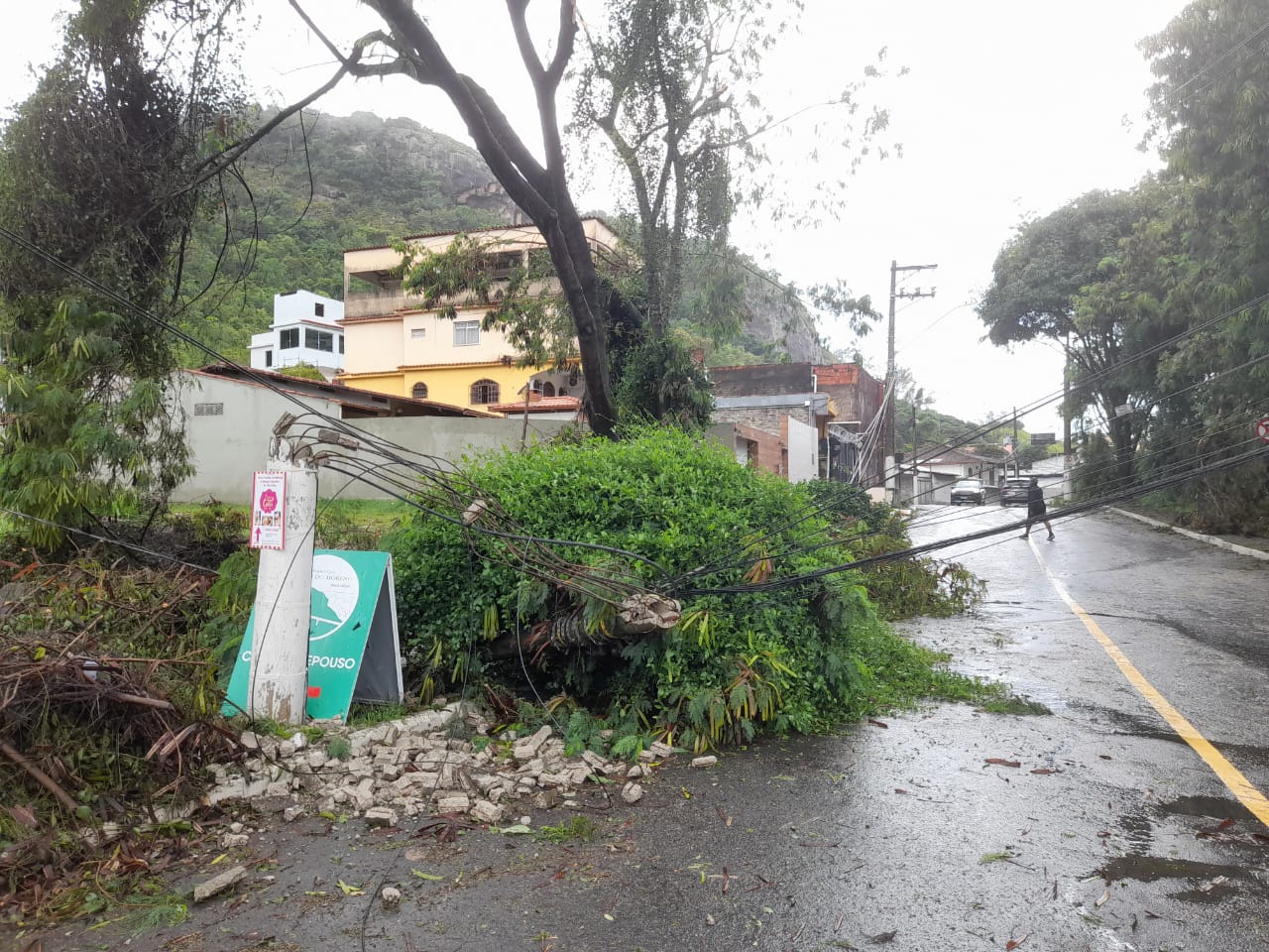 Grande Vitória registra quase 50 quedas de árvores durante as chuvas; 30 foram na capital