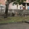 Foto: Reprodução TV Vitória