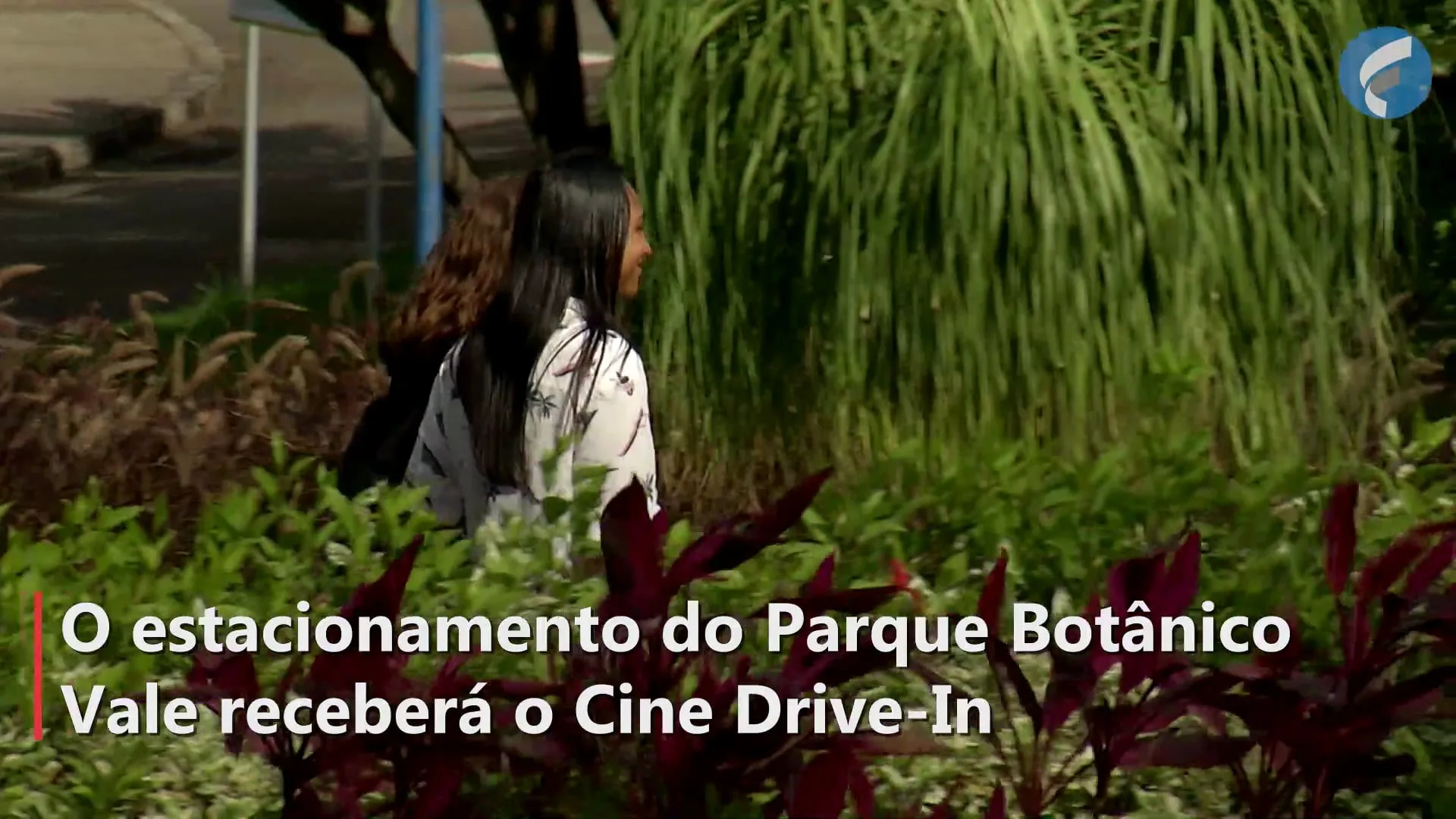 Parque Botânico terá exibição gratuita de filmes no formato drive-in