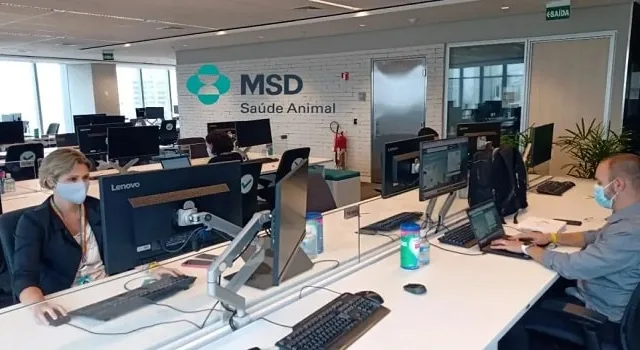MSD Saúde Animal abre programa de residência em várias áreas