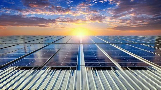 Promissora no Brasil, energia solar permite zerar gastos com conta de luz