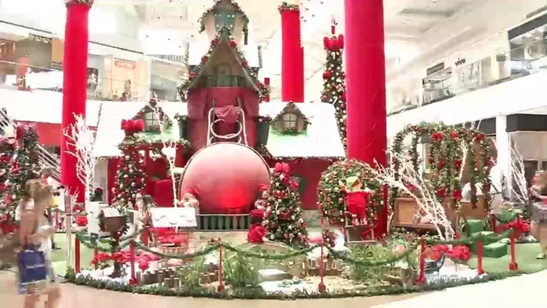 Pesquisa aponta que 64% dos consumidores querem pagar presentes de Natal à vista
