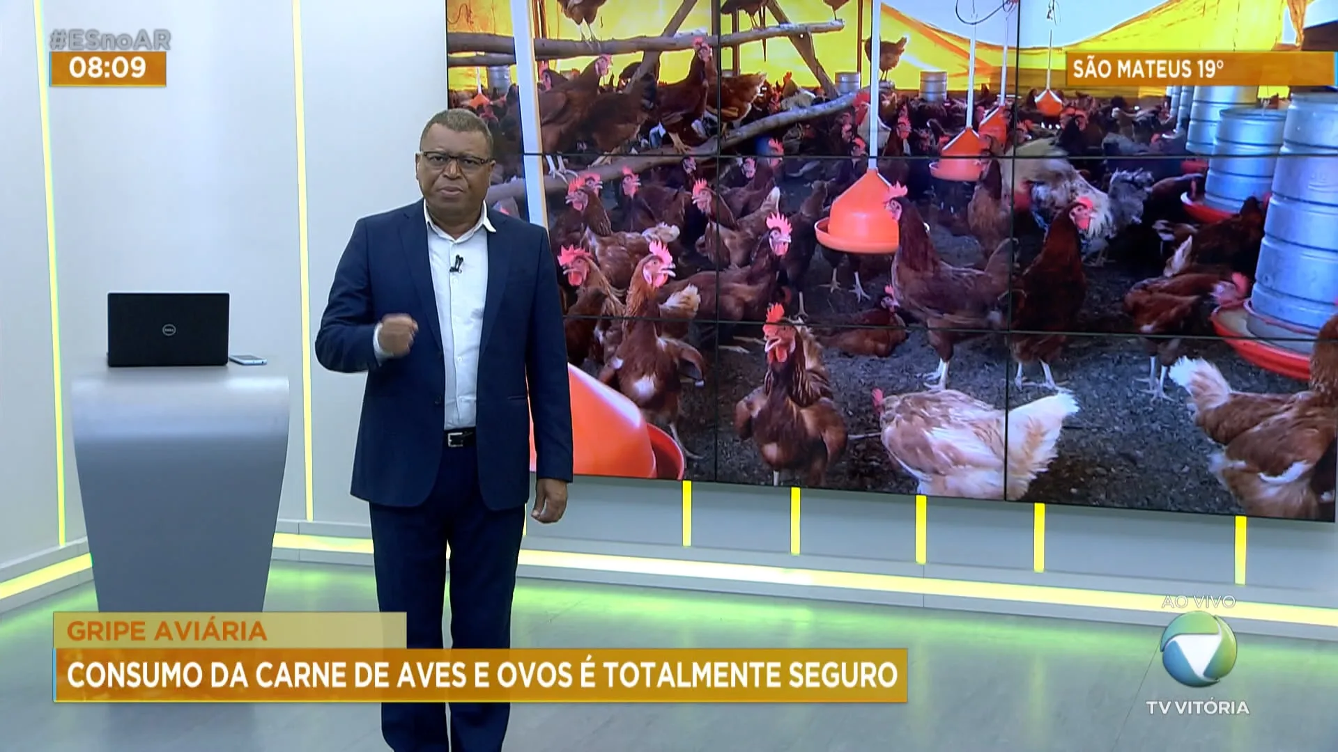 Gripe aviária: consumo de carne de aves e ovos é seguro