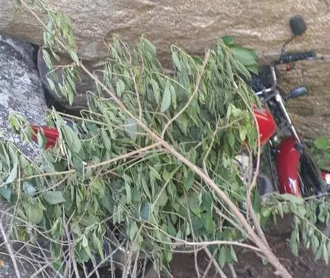 Moto furtada é localizada escondida embaixo de pedra em Alegre