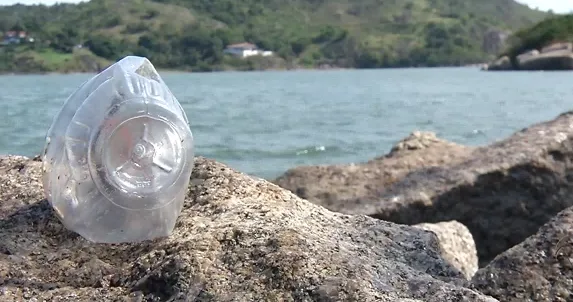 Dia Mundial dos Oceanos: praias da Grande Vitória recebem mutirões de limpeza