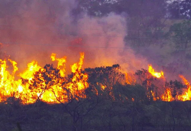 Promotoria de Justiça monta força tarefa para combater incêndios em Colatina e região