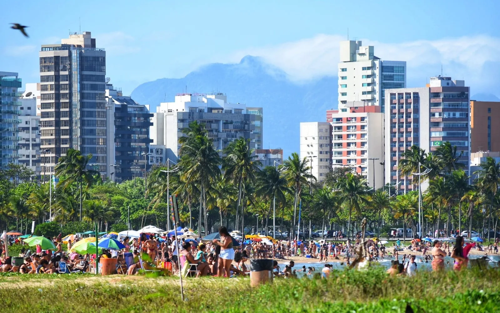 Foto: Thiago Soares/ Folha Vitória