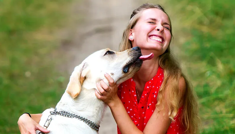 "Lambeijos": entenda motivo que leva cachorros a lamberem os seus tutores