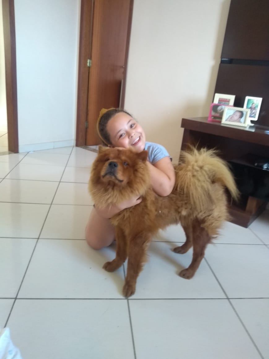 O AMOR DE UMA MENINA E UM CACHORRO