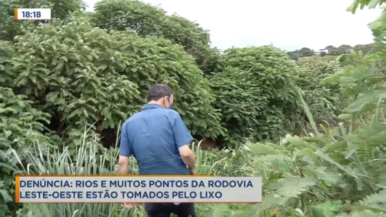 Denúncia: Rodovia Leste-oeste tem muitos pontos tomados pelo lixo