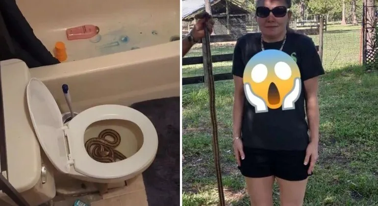 Novo medo desbloqueado! Mulher urina em cobra escondida no vaso sanitário