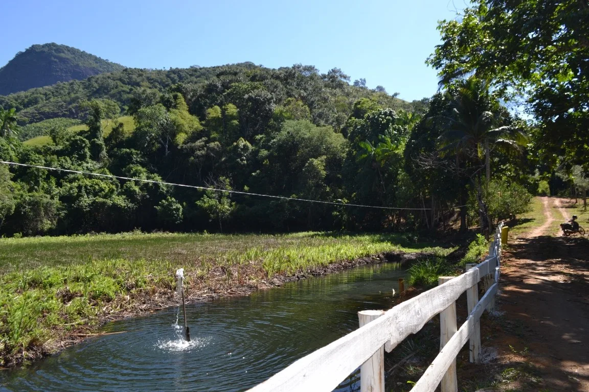 Parque municipal em Alfredo Chaves é uma opção de lazer para família no feriado