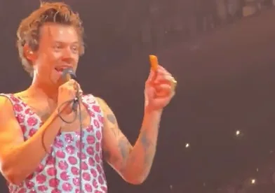 Vídeo | Harry Styles é atingido por nugget de frango durante show e brinca com situação