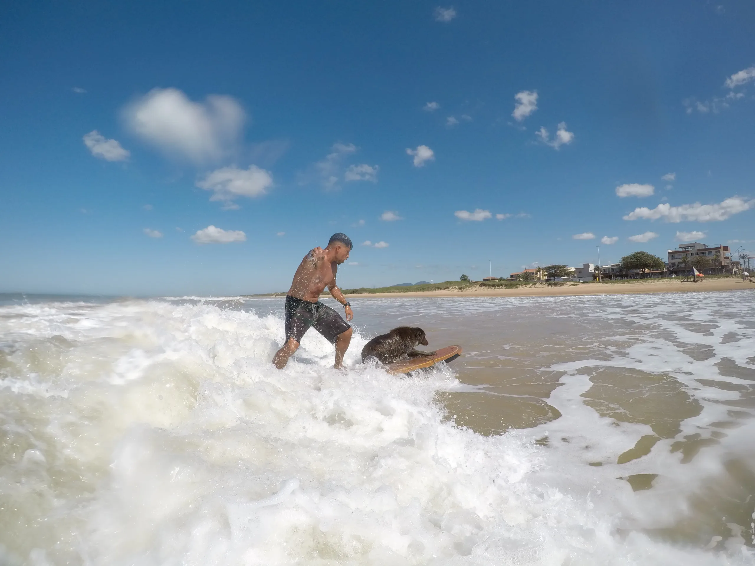 Cão surfista tira onda no ES em aventura rumo à Califórnia