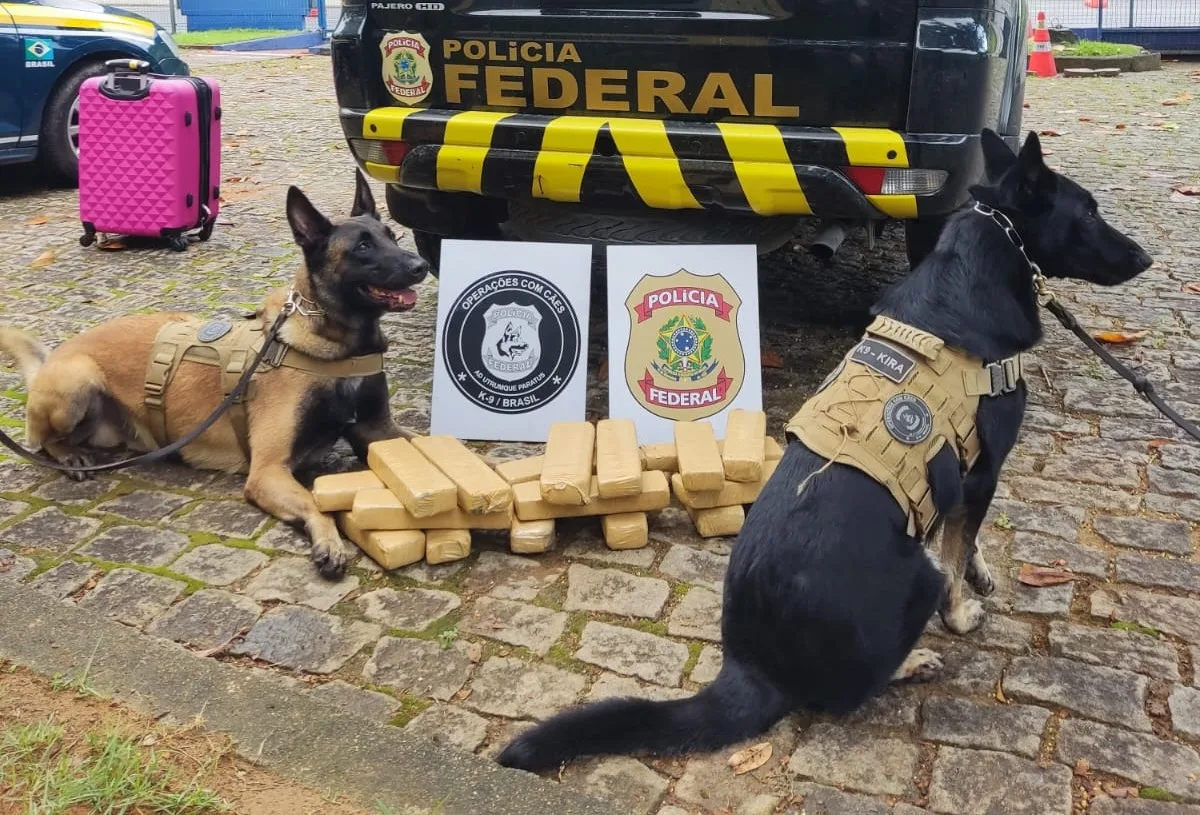 Foto: Divulgação / Polícia Federal