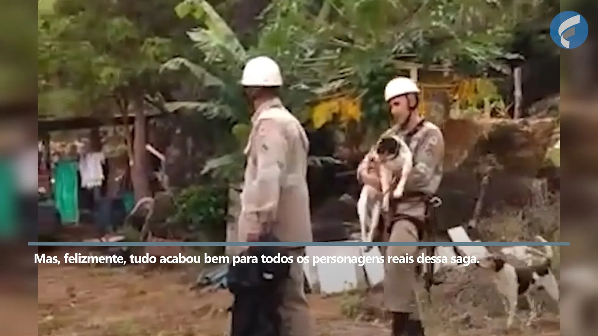 Bombeiro escala montanha e resgata cão que ficou sem comer e beber por 4 dias em Ibiraçu