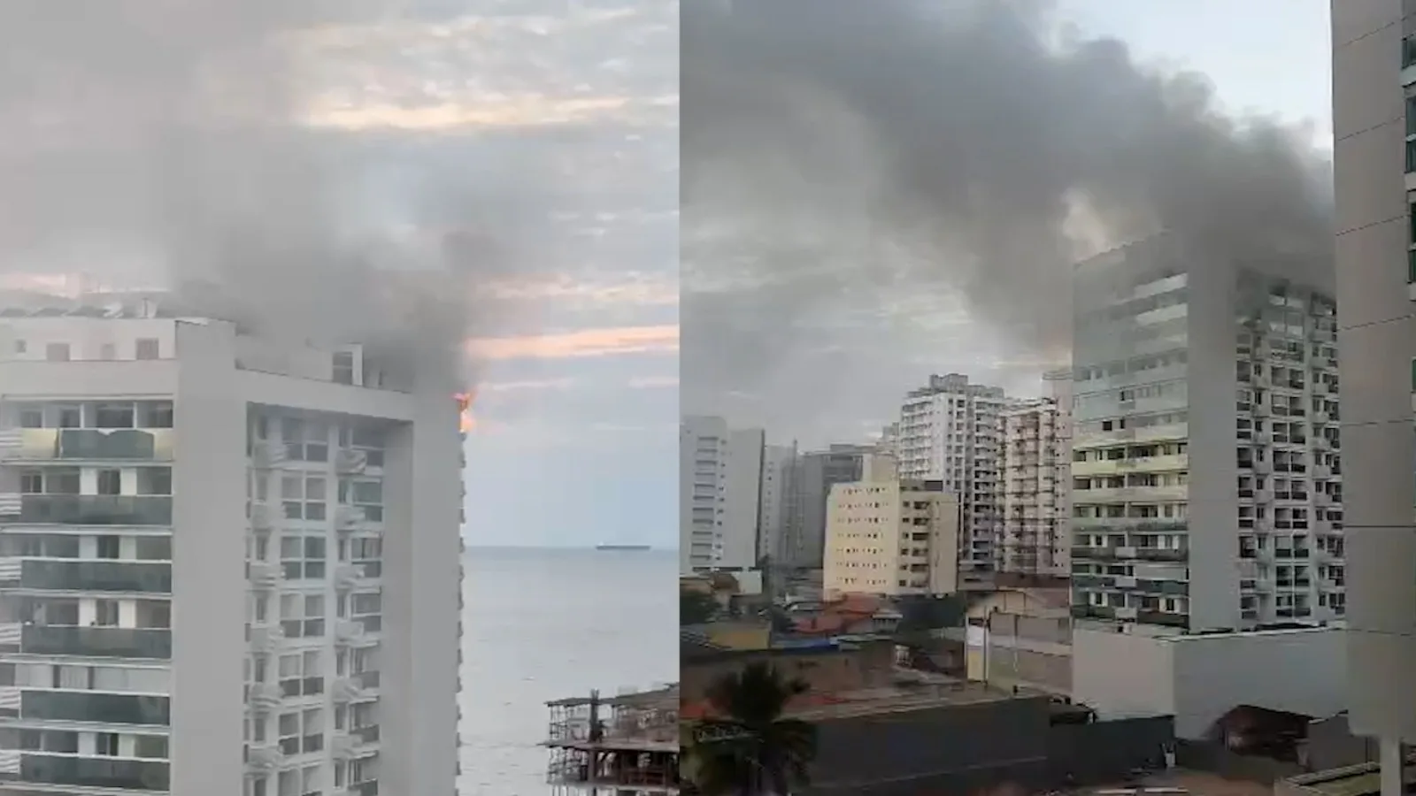 Dois cachorros morreram no incêndio na cobertura de prédio em Vila Velha