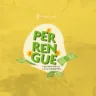 Entrevista sobre Terceiro Setor com Paula Resende