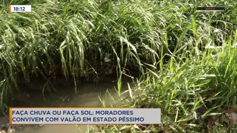 Comunidade luta para que prefeitura acabe com valão e a grande quantidade de mosquitos