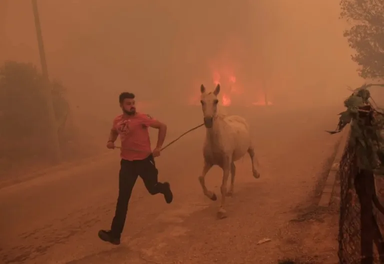 Superman? Fazendeiro gato salva animais de incêndio e vira herói