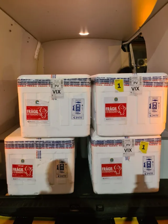 Quase 80 mil doses de vacina contra covid-19 chegaram ao Espírito Santo nesta sexta-feira