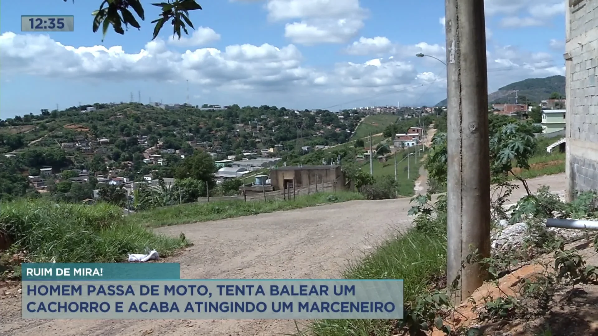 Homem mira no cachorro e atinge marceneiro