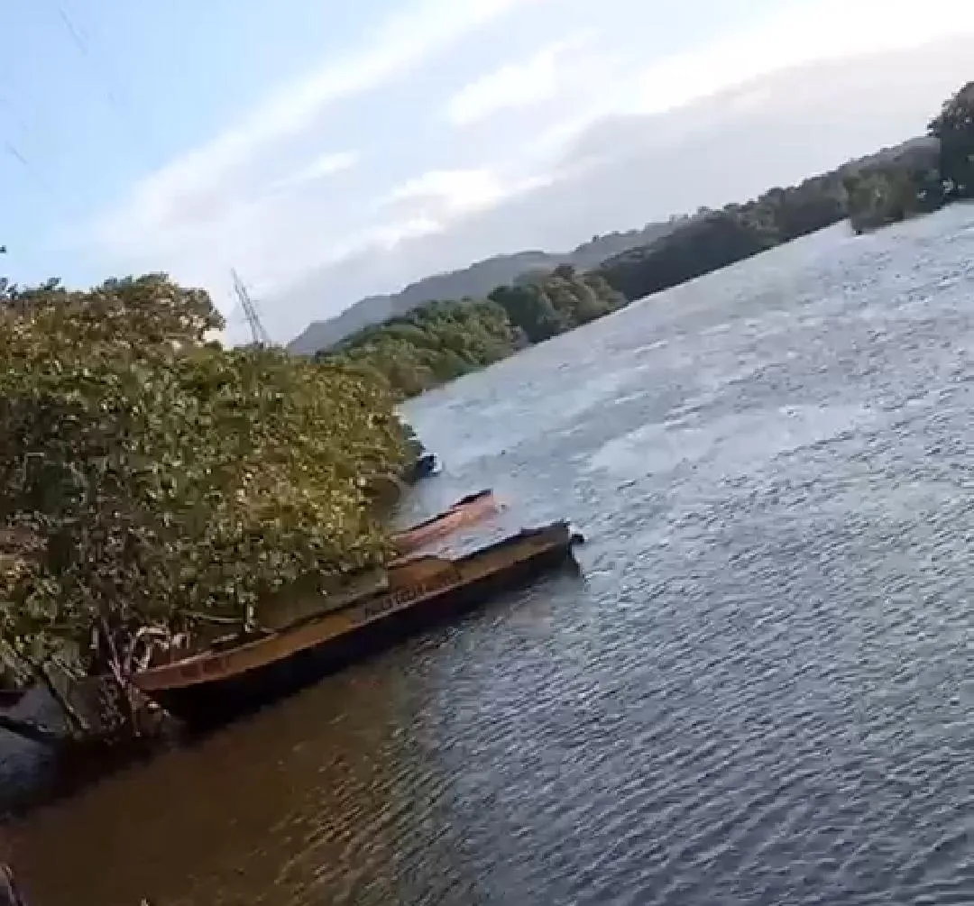 Adolescente morre afogado em área de mangue, em Vitória