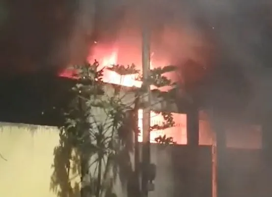 Incêndio destrói casa e deixa filhotes de cachorro carbonizados