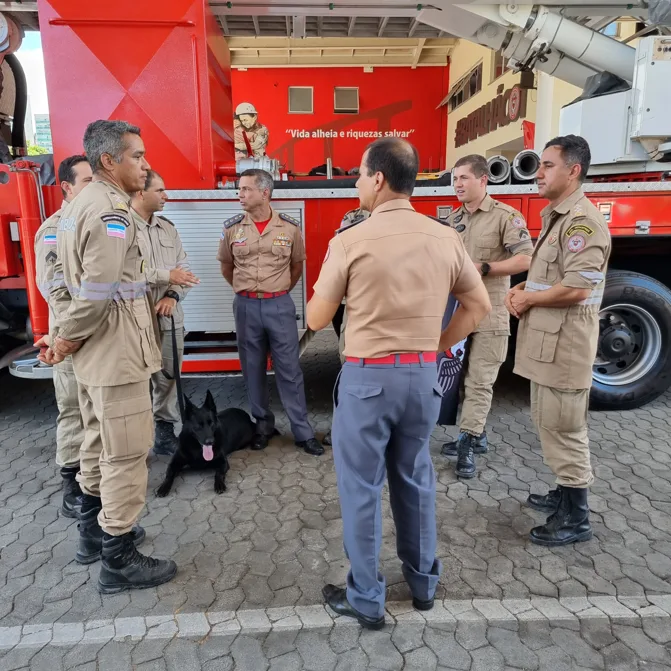 Bombeiros capixabas retornam ao ES após missão de resgate na Turquia