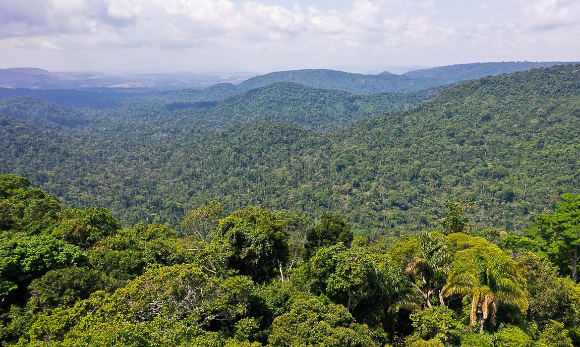 O vice-presidente da República, Hamilton Mourão, e os chefes de missões diplomáticas à Amazônia Oriental, fazem sobrevoo para a sobre a Floresta Nacional de Carajás e visita à mineradora Vale.