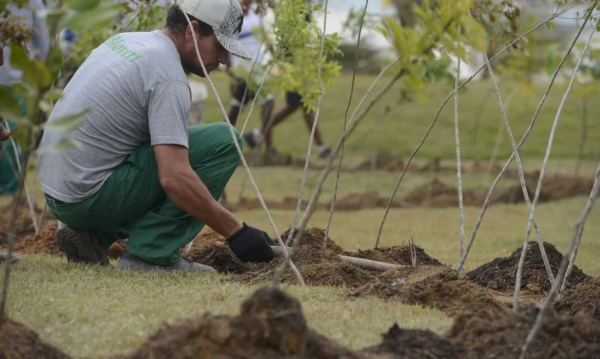 Rio de Janeiro – Em comemoração ao Dia da Árvore, começa o plantio das 100 primeiras mudas da Floresta dos Atletas no Parque Radical, em Deodoro. Ao longo de 2017, o local receberá as 12 mil mudas germinadas pelos atletas durante a cerimônia de abertura dos Jogos Olímpicos Rio 2016( Tânia Rêgo/Agência Brasil)