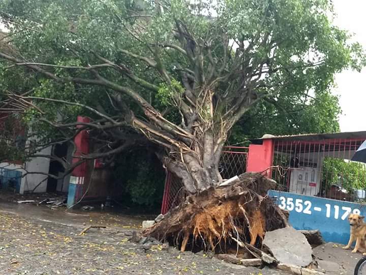 Três famílias ficam desalojadas após forte chuva em Alegre