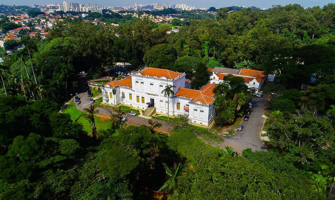 Instituto Butantan